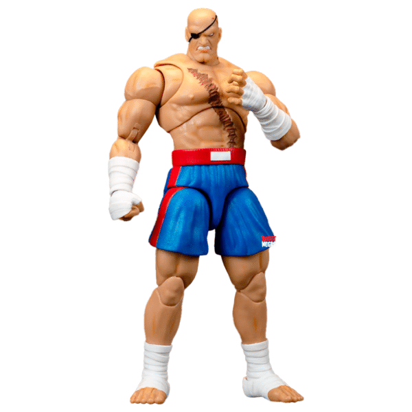 Ultra Street Fighter II Sagat