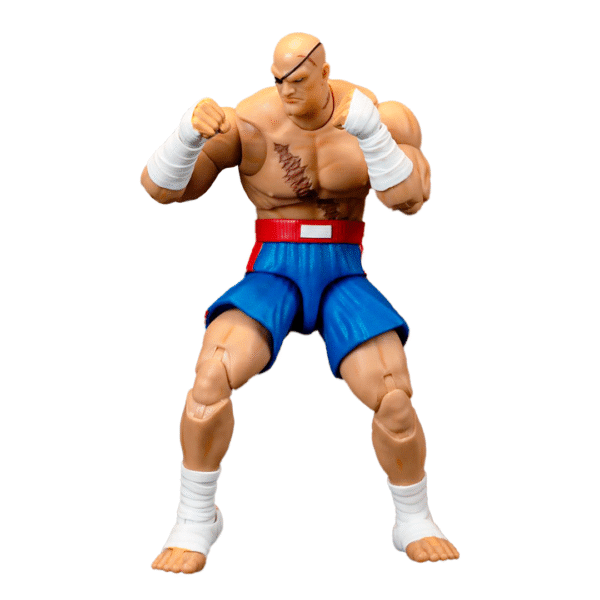 Ultra Street Fighter II Sagat - Imagen 2