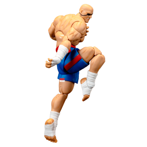 Ultra Street Fighter II Sagat - Imagen 3