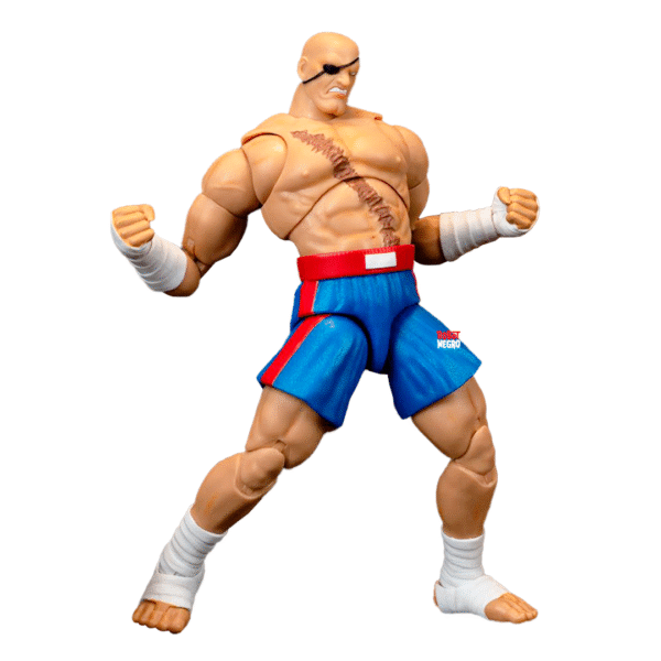 Ultra Street Fighter II Sagat - Imagen 5