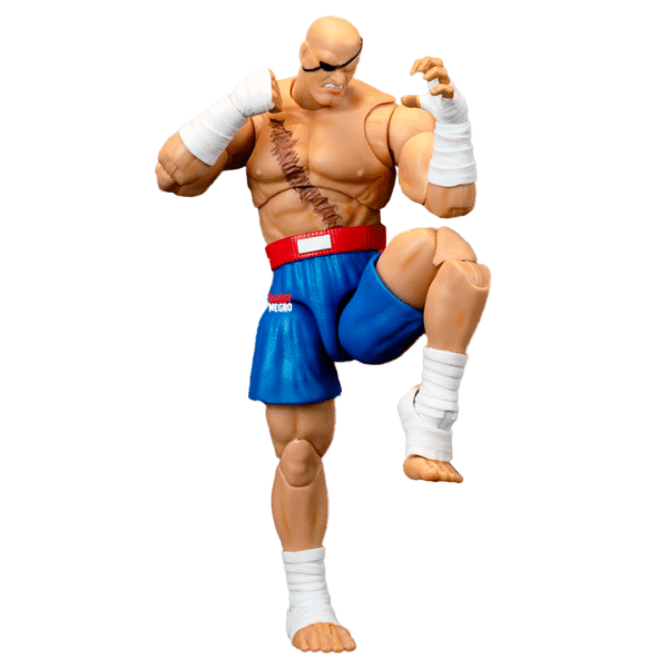 Ultra Street Fighter II Sagat - Imagen 6