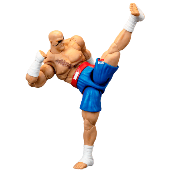 Ultra Street Fighter II Sagat - Imagen 8