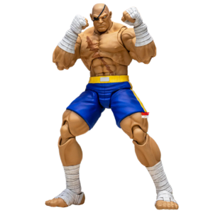 Storm Arena Street Fighter Alpha 3 Sagat
