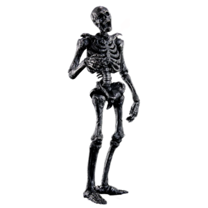 Infernal Ballet Human Skeleton (Black ver.)
