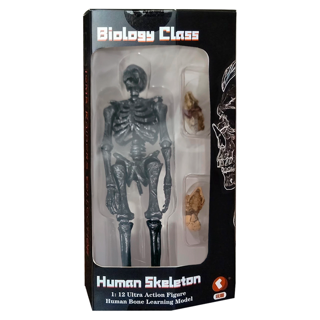 Infernal Ballet Human Skeleton (Black ver.) - Imagen 3