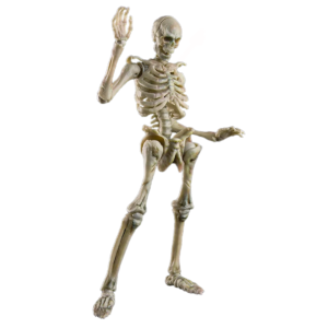 Infernal Ballet Human Skeleton (White ver.)