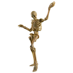 Infernal Ballet Human Skeleton (Yellow ver.)