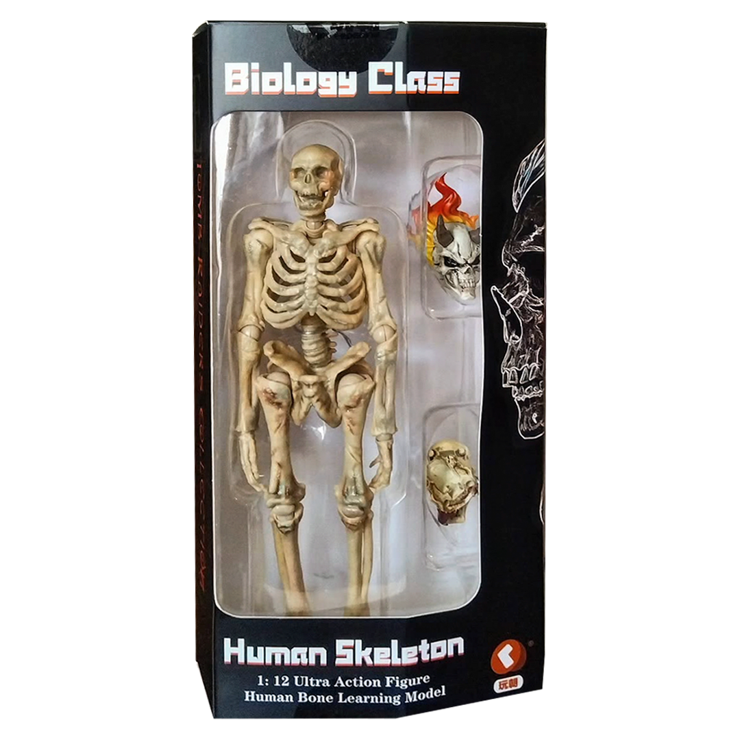 Infernal Ballet Human Skeleton (White ver.) - Imagen 3