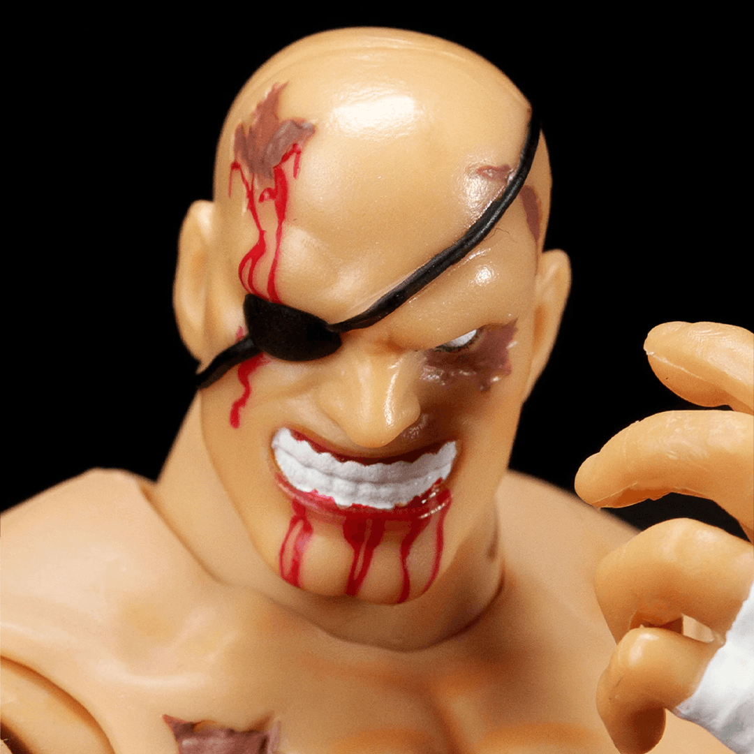 Ultra Street Fighter II "You Lose" Accessory Set - Imagen 14